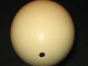 Ostrich Eggs - Blown and Clean in Cary, North Carolina