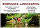 YARD MAINTENANCE - WEEKLEY- OR ONE TIME. $25 Most in Kingwood, Texas